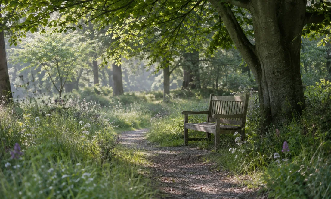 Burial or cremation: how to decide